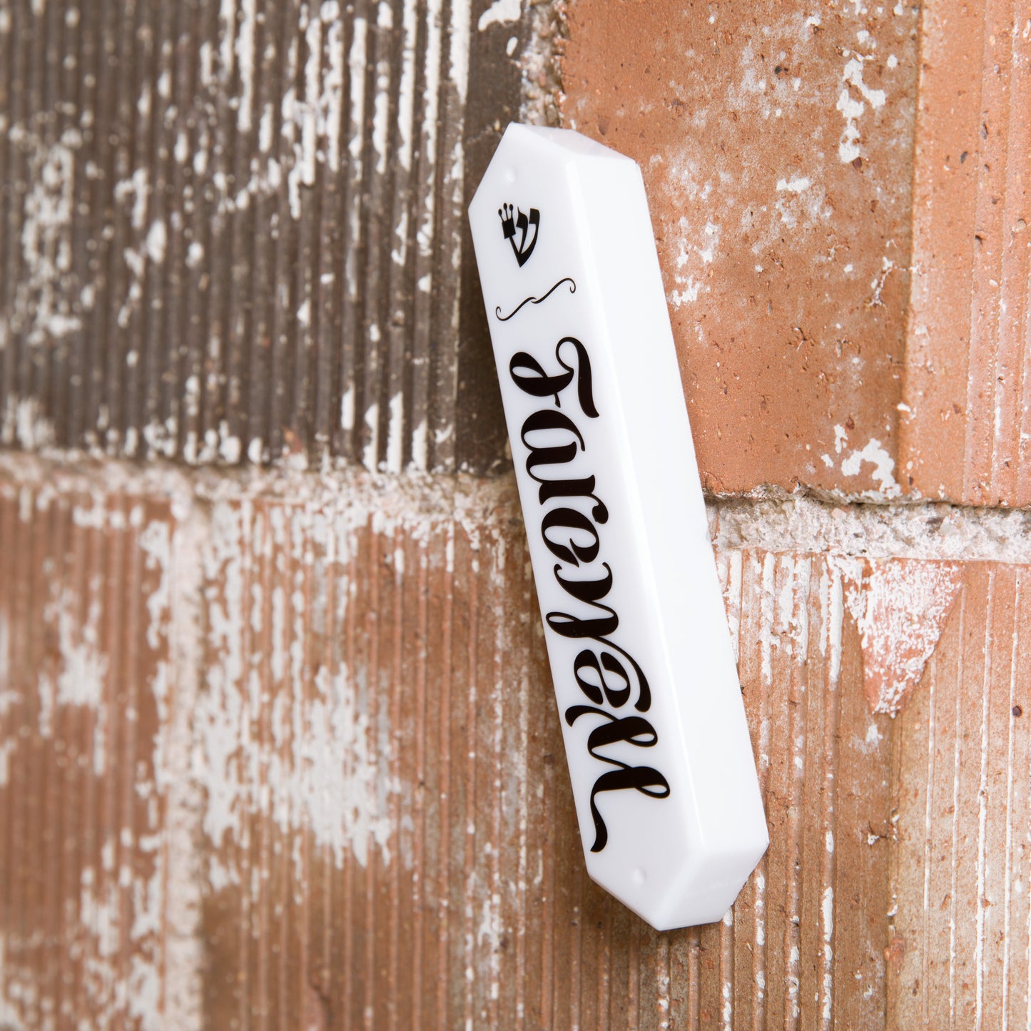 Welcome/Farewell Ambigram Mezuzah Case