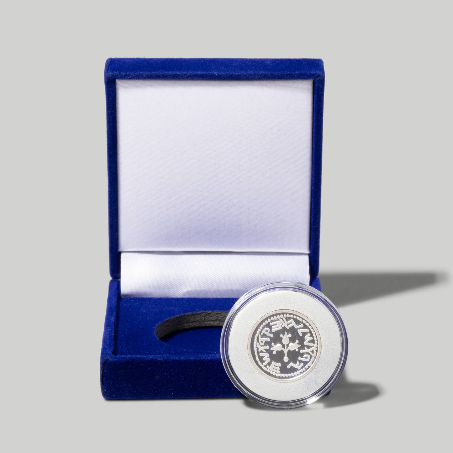 Silver Half Shekel Replica Coin