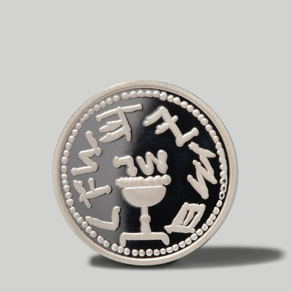 Silver Half Shekel Replica Coin